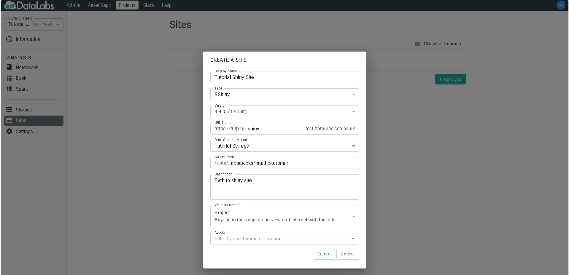 shiny site settings